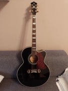 Gitara HB Custom Line King