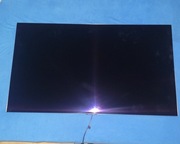 LG OLED 55g16la 