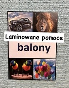 Dopasowywanie obrazków do słowa II część