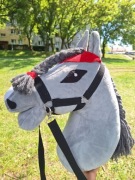Hobby horse a3!!