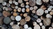 Drewno opałowe liściaste, sosna, zrębka