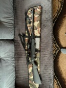 Witrówka sprężynowa Baikał