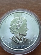 Kanada, 5 dolarów, Liść Klonowy, 2020, Ag 999, 1 uncja srebra (31,1g)