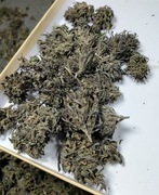 Legalny naturalny susz CBD/CBG trym od producenta, 2025!  35g