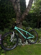 YT Dirt love rozmiar L