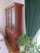 Witryna do salonu