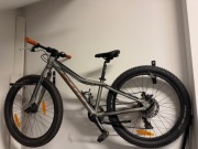 Scott Roxter 24 cale MTB