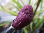 RUBIN - duży kryształ , ładnie świeci w UV - #3