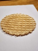 Płaski chrupek, który przeżył apokalipsę dnia wczorajszego