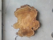 Żywica plastry topola akacja grusza mega zestaw.Plaster.Mega zestaw 51 szt.