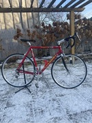 Rower szosowy lee cougan le, unikat, Szwajcaria.