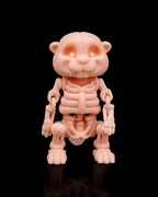 Szkielet Bobra Egzotyczna Dekoracja na Halloween z Mroczną Duszą!