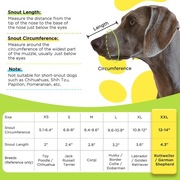 Kaganiec materiał siateczka Bonthee XL labrador Golden