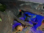 Terrarium mega , giga super 