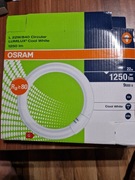Osram Lumilux T9 C świetlówka