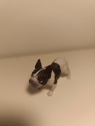 Figurka psa - buldog francuski, realistyczna, plastikowa