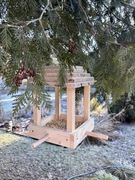 Karmnik dla ptaków, naturalny