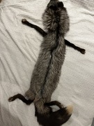 Etola z Lisa ( Srebrna)