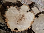 AKACJA ROBINIA 51/47/9 cm Po Suszarni Blat Plaster Drewna Stolik DIY Suchy