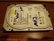 Wd Caviar WD800 80GB, ATA, Sprawny 100%