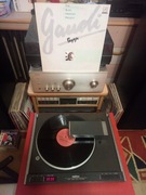 THE ALAN PARSONS PROJECT  Gaudi  WINYL LP jak NOWY