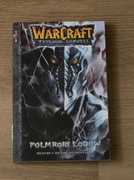 Różne Komiksy i mangi po polsku Warcraft i inne
