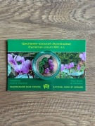 Moneta kolekcjonerska – Cyklamen Kuszncowa (Cyclamen coum Mill. s.l.)