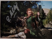 Evangeline Lilly oryginalny autograf 