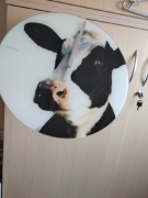 Zegar szklany karlsson krowa duży na baterię 