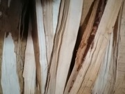 Drewno owocowe, kominkowe, wędzarnicze, 10 kg 