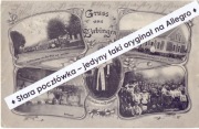 CYBINKA (ZIEBINGEN) k. Słubice, gospoda, ogród koncertowy strój ludowy 1907