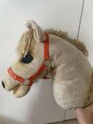 Konik hobby horse 