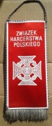 ZHP Choragiew Bielska - proporczyk
