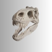Potężna Czaszka T-Rexa – Figurka 3D