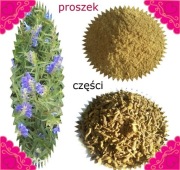 tarczyca bajkalska Polska proszek 100g bajkalina 