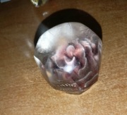 Gałka zmiany biegów retro PRL kwiatek 