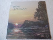 BRIAN FLANAGAN - WHERE DREAMS ARE MADE LP STOCKFISCH