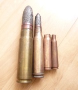 Zestaw łusek dla kolekcjonera