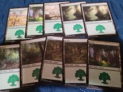 Zestaw Basic Land 10x Forest