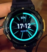 SmartWatch Amazfit T-Rex2