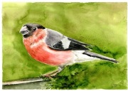 Akwarela obraz ręcznie malowany A3