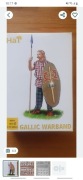 Hat Gallic Warband figurki 1:72 1/2 zestawu oryg
