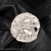 denar 1563, Wilno Zygmunt II August RR