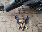 Challenge coin United States Air Force Security Forces