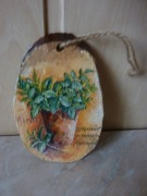 Botaniczny obrazek dwustronny plaster zajączek