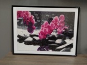Obraz gotowy haft diamentowy 30 x 40 cm w ramce