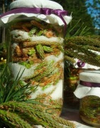 Domowy Prawdziwy Syrop z pędów sosny 