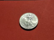1 dolar USA 2009, Liberty,, uncja srebra, 1 oz, AG 999, Stan Menniczy/I