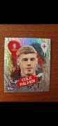 Karta Cole Palmer EURO 2024