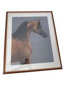 Konie arabskie - Legendarny ogier Equator – pastel S. Iłendy | Oprawiony